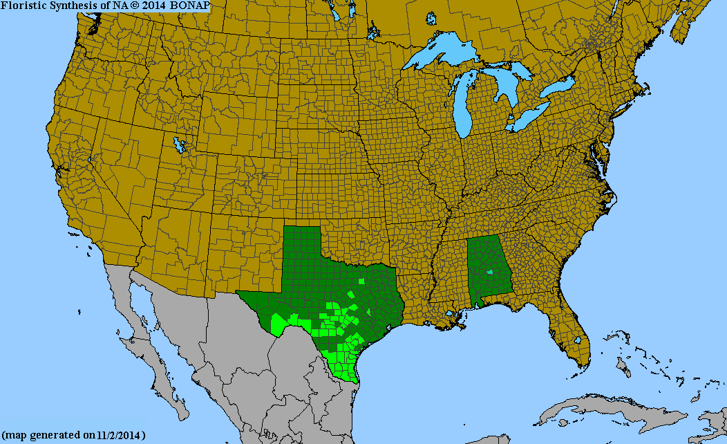 County distribution map of Nicotiana repanda - Fiddle-Leaf Tobacco